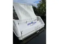 Sea Ray Sundancer 500 Sundancer 