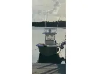 Scout 262 Sportfish 