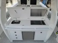 Intrepid 407 Panacea
