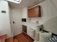 Intrepid 407 Panacea