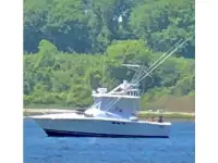 Luhrs 29 Open 
