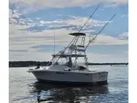 Luhrs 29 Open