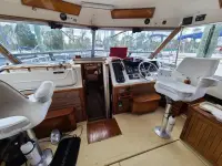 Sea Ray Sport fisherman 