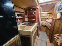 Sea Ray sport fish 