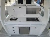 Intrepid 407 Panacea 