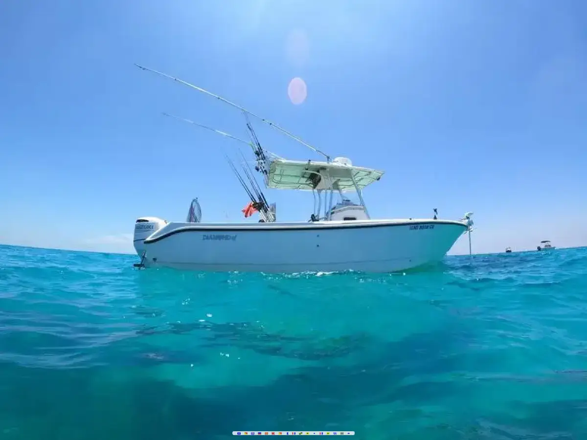 Edgewater 265CC 