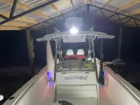 Edgewater 265CC