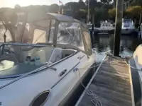 Sea Ray Sundancer 260 Sundancer 