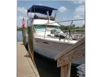 Sea Ray outfitted for towing and salvage 