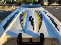 Advantage 28 Sport Cat 