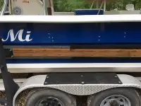 Carolina Skiff 2390 DLX EW
