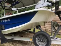 Carolina Skiff 2390 DLX EW
