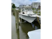 Grady White 300 Marlin 