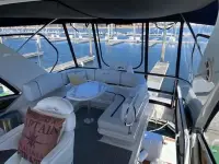 Sea Ray 44 Sedan Bridge 