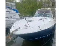 Sea Ray Sundancer 370 Sundancer 
