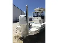 Everglades 243CC
