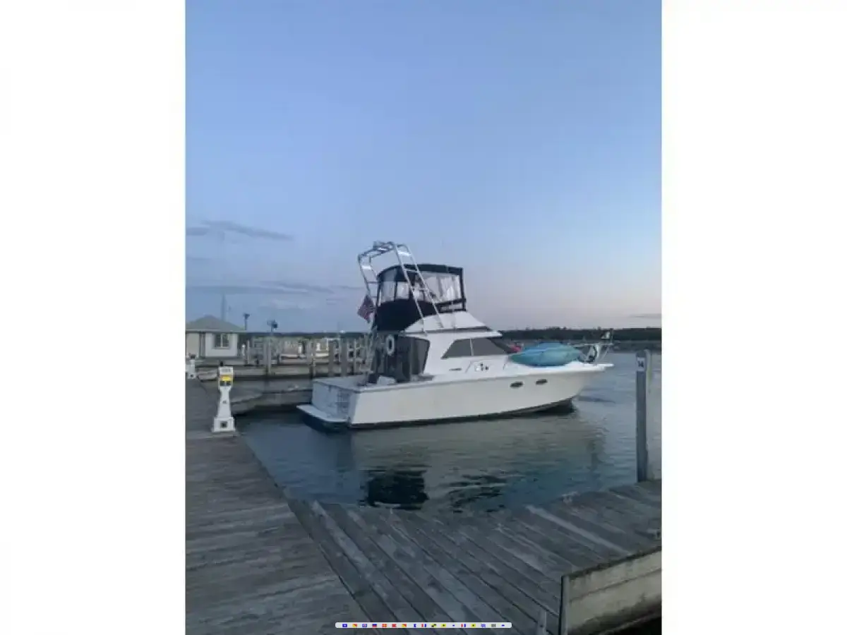 Trojan 10 Meter 