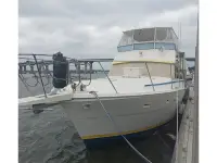 Viking 44 DCMY 