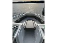 Cobalt 226 