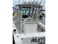 Regulator 29 FS 