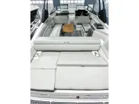 Sea Ray SDX 290 
