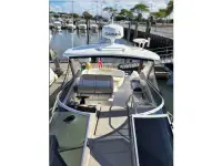 Sea Ray Sundancer 310 Sundancer