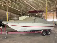 Cobalt 240