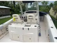 Grady White 306 Bimini 
