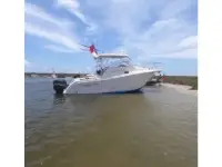 Pro-Line 29 Express 