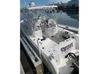 Pro-Line 29 Express 