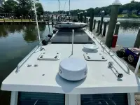 Great Harbour – DilligafTT35  Mirage Manufacturing 35 