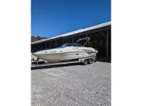 Sea Ray 220 Sundeck 