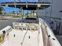 Grady White 306 Bimini