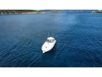 Sea Ray Sundancer 460 Sundancer