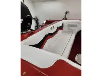 Checkmate Pulsare 2000 