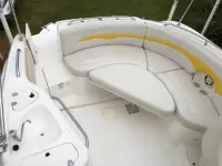 Chaparral 243 Sunesta 