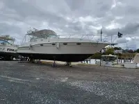 Cruisers Esprit 3675 express