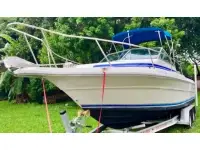 Sea Ray 240 Sundeck 