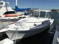 Mainship 34 Pilot 