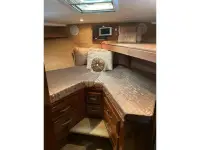 Bertram Convertible Sport Fish 