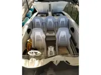Spectre 32 Cat