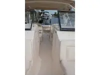Grady White Freedom 307