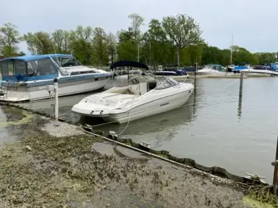 Stingray 22 