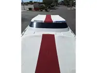 Eliminator Eagle 
