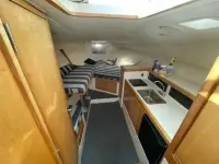 Bertram 31 Moppie 