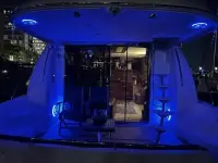 Carver Voyager 56 