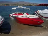 Cheetah 24 Stiletto
