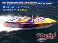 Cheetah 24 Stiletto