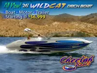 Cheetah 24 Stiletto