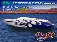 Cheetah 24 Stiletto